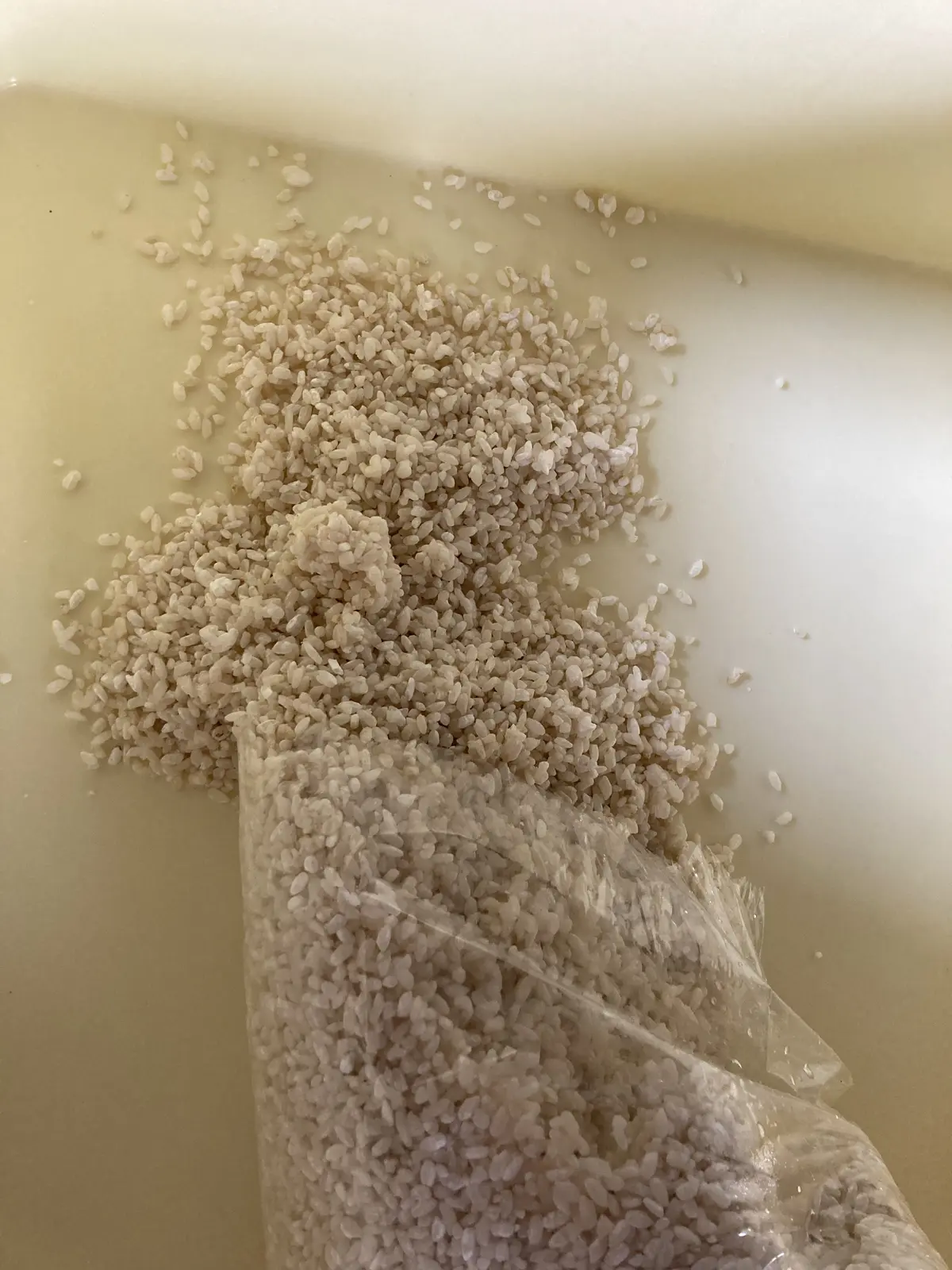 お味噌づくりに挑戦‼️の画像_5