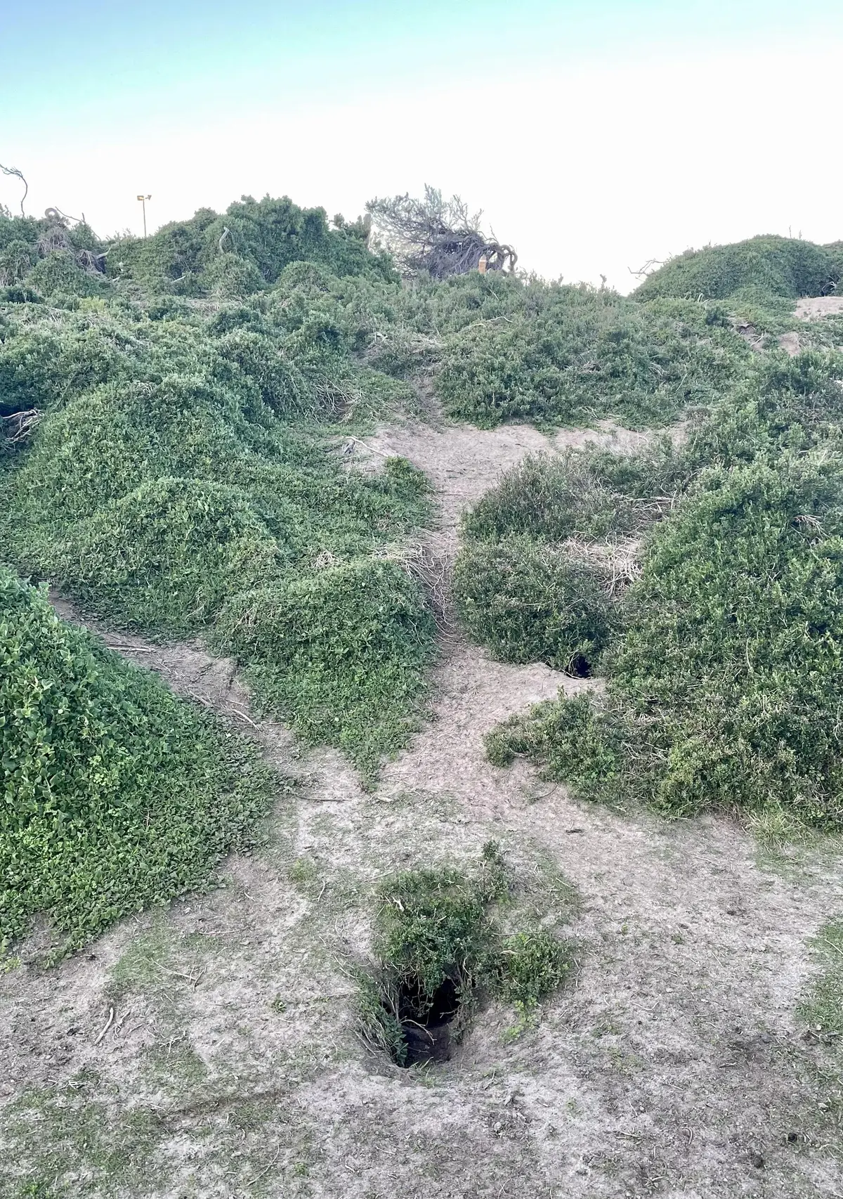 メルボルンで過ごす大人の旅 -vol.1の画像_6