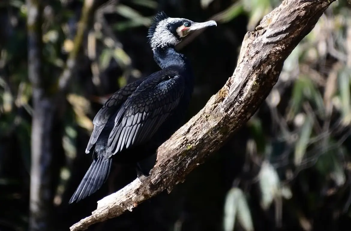 箱根ハイランドホテルラウンジテラスへの画像_2