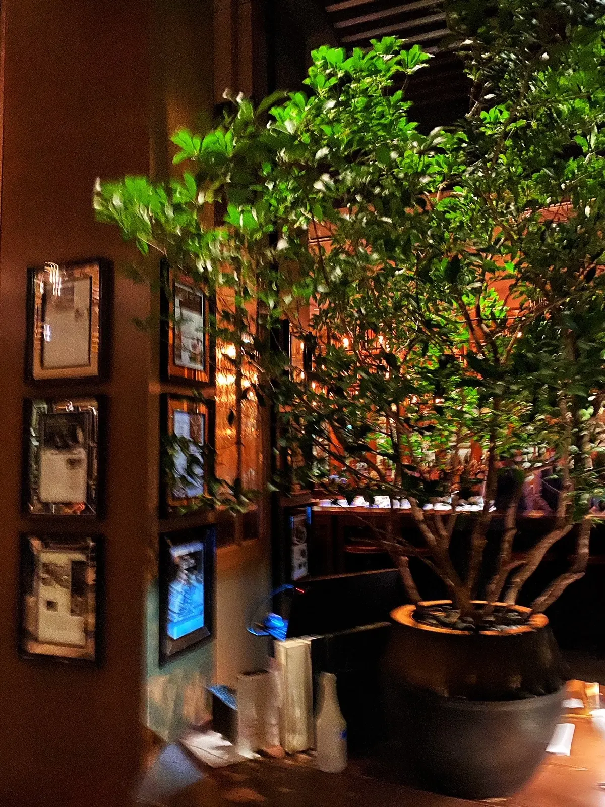 息子と甥っ子の成人を祝って〜偏愛ボウタイの画像_2