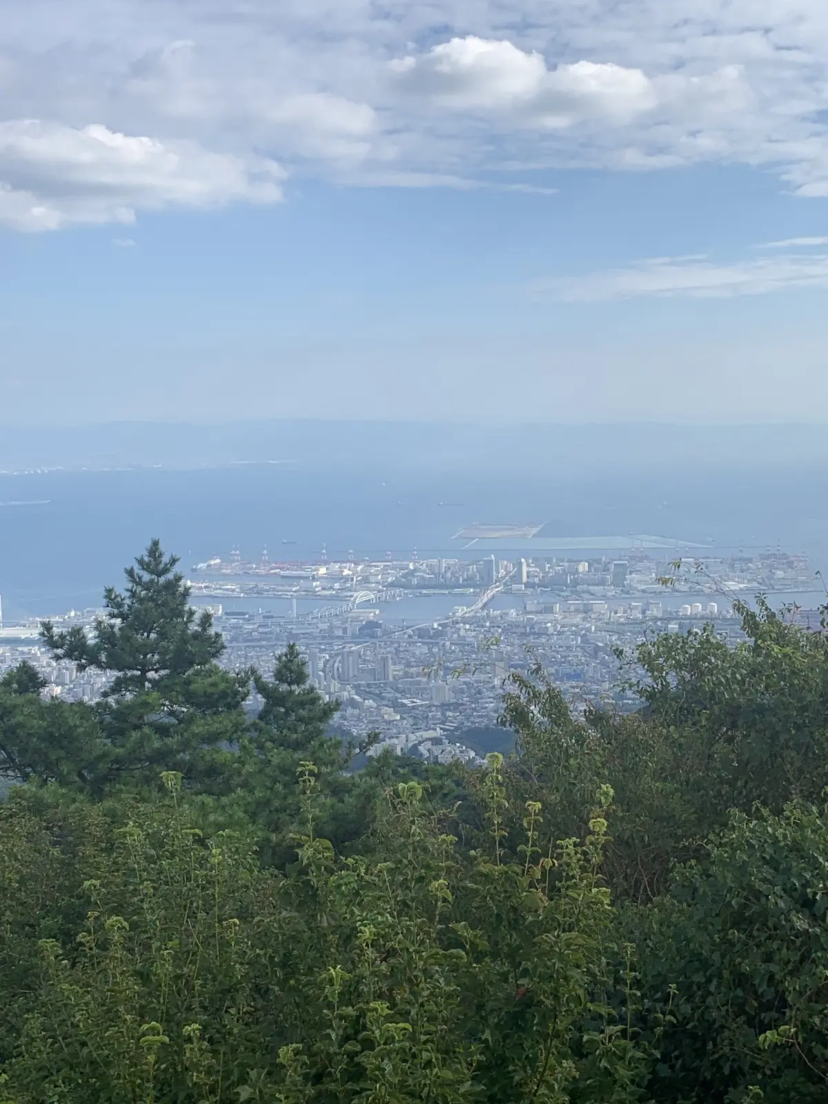 【ハロウィン/カボチャ】Zucca FIの画像_15