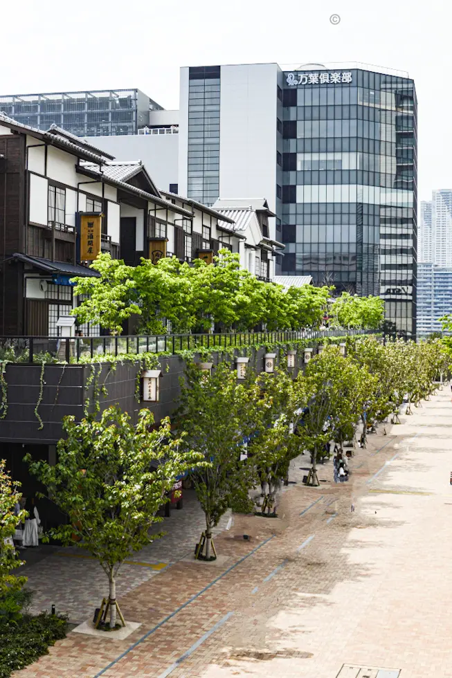 【東京探訪】豊洲 千客万来☆2024.2の画像_1