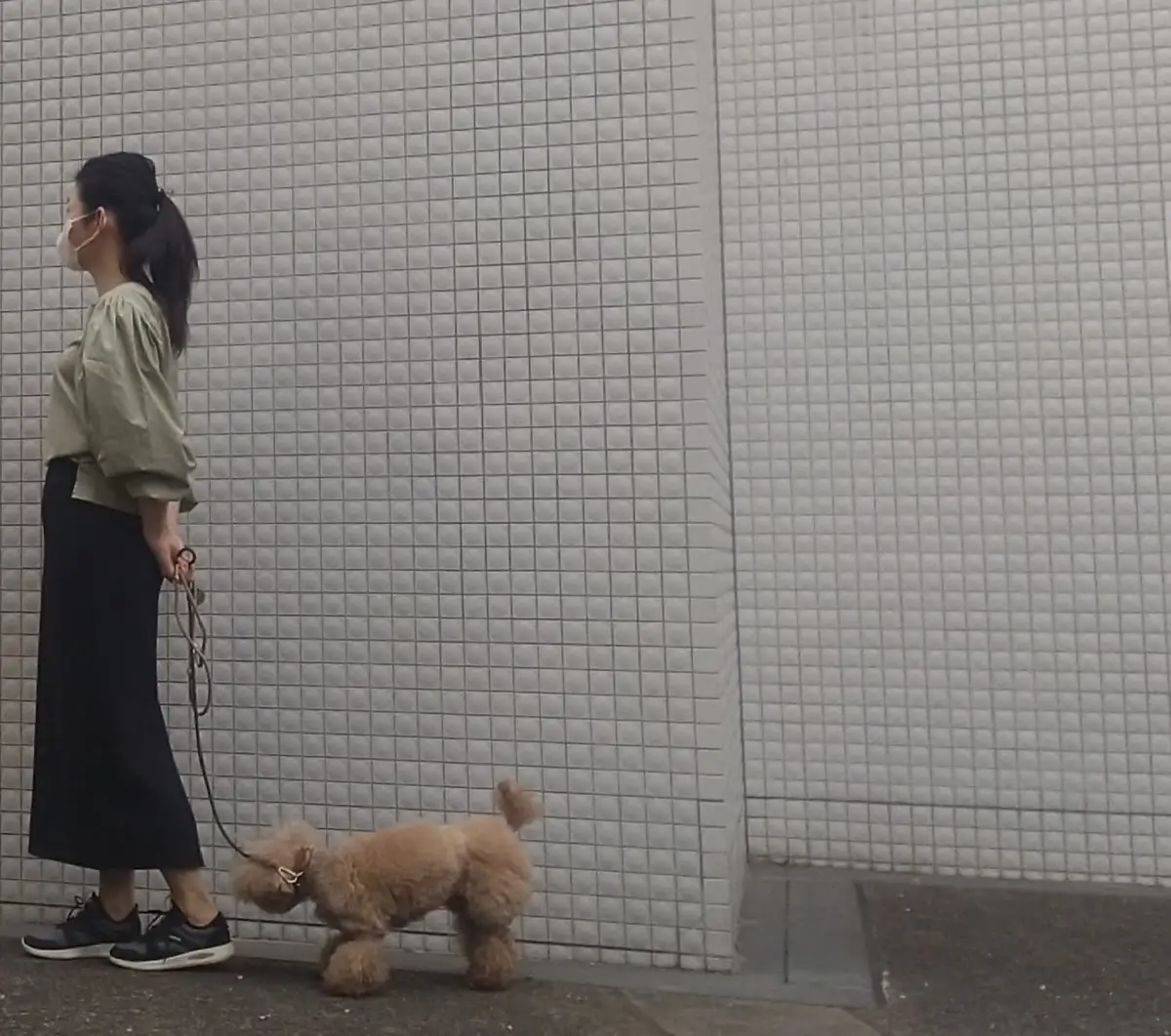 もじゃもじゃとワタシ！