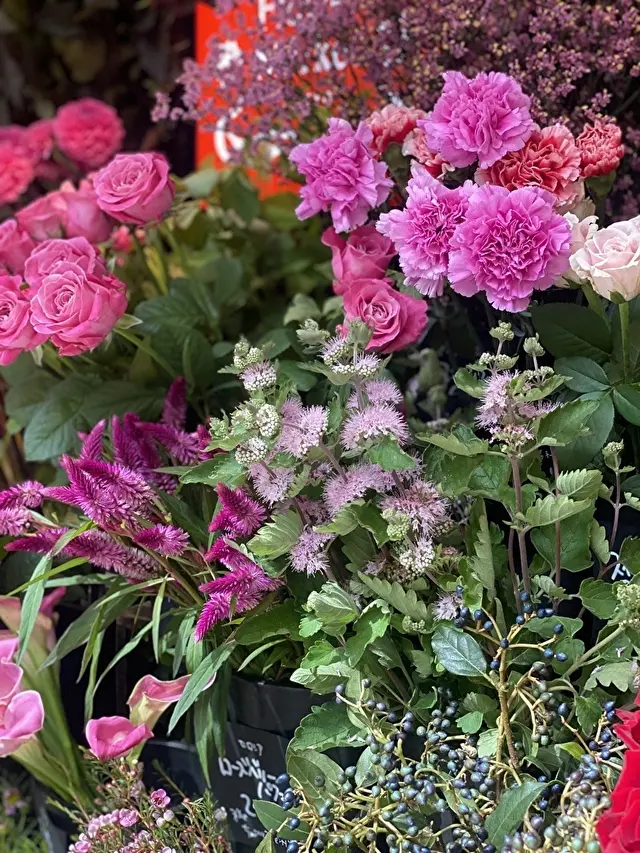 秋のお花をみて目の保養を♡