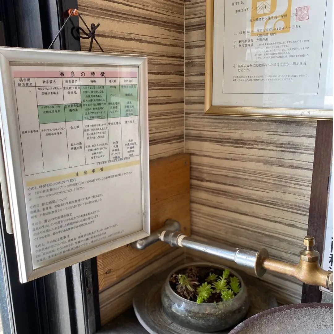 五つ星源泉宿の湯でリラックスの画像_5