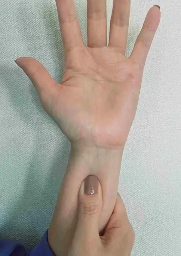 手のひらから4cm下の手首の中央を、