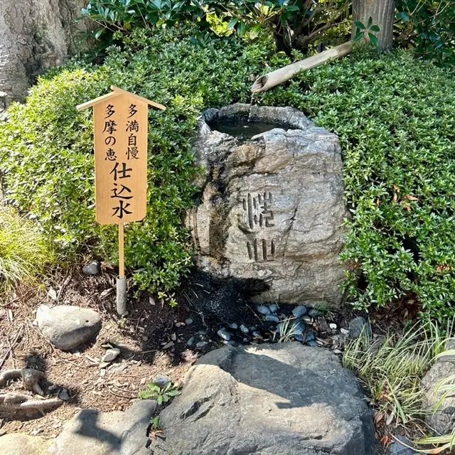 天然地下水の仕込み水　