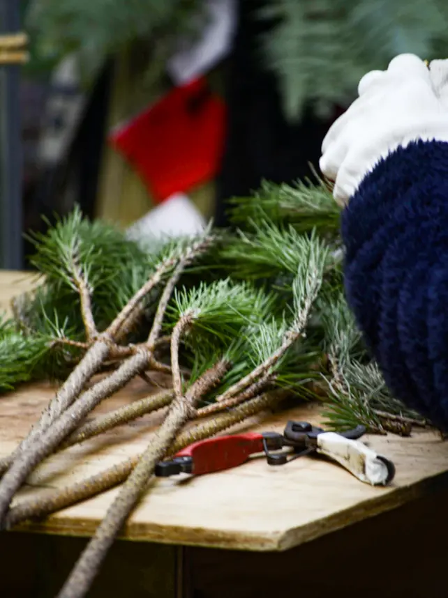 【さかぽんの冒険】new yearの過ごの画像_10