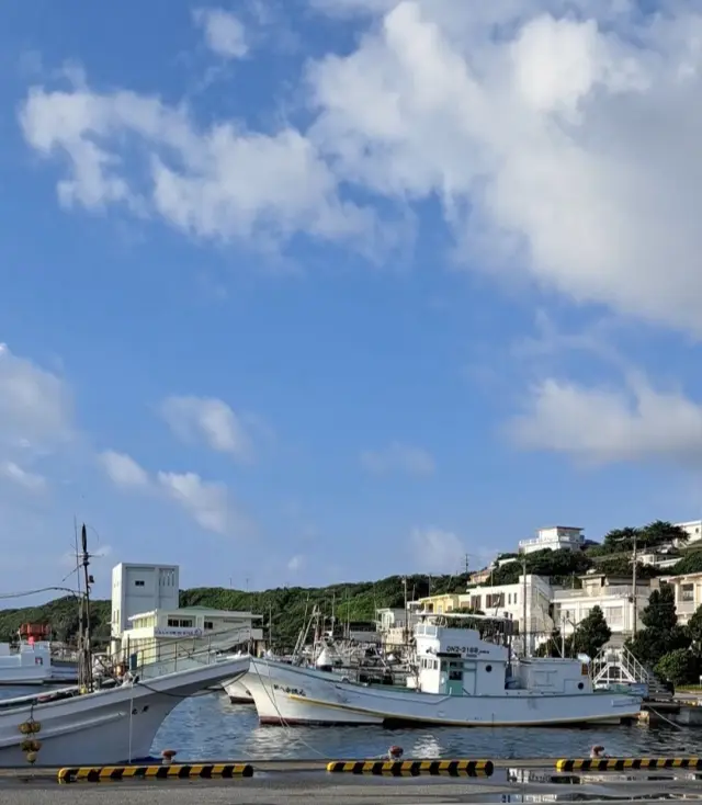 3度目の伊良部島の夏の画像_3