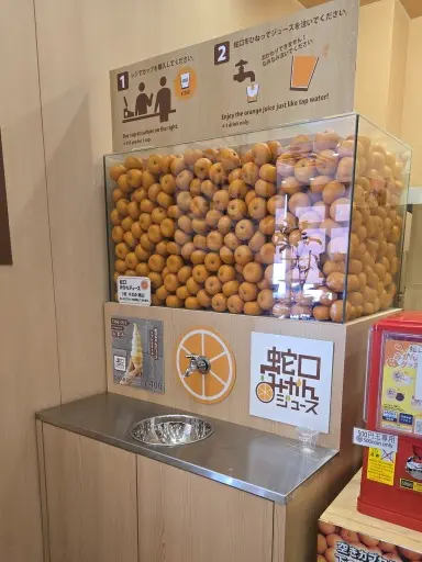 静岡といえば、富士山と○○○○の画像_8