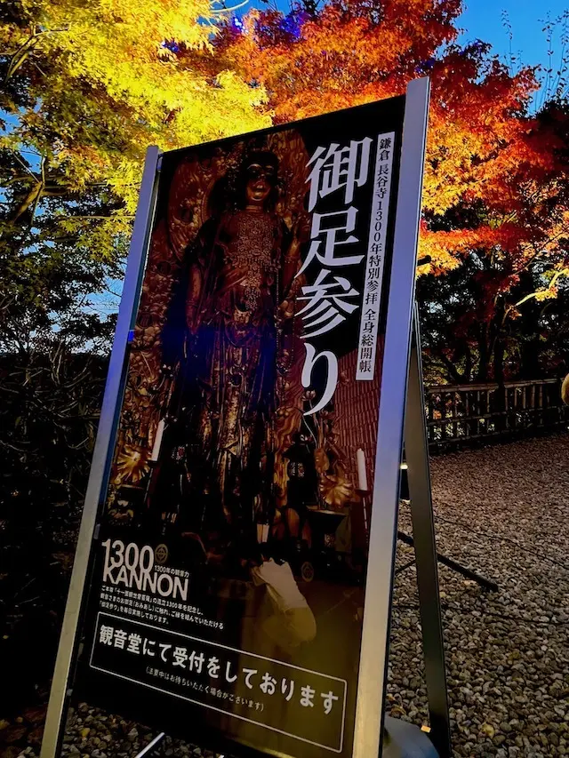 長谷寺　御足参り　紅葉　紅葉ライトアップ　ライトアップ