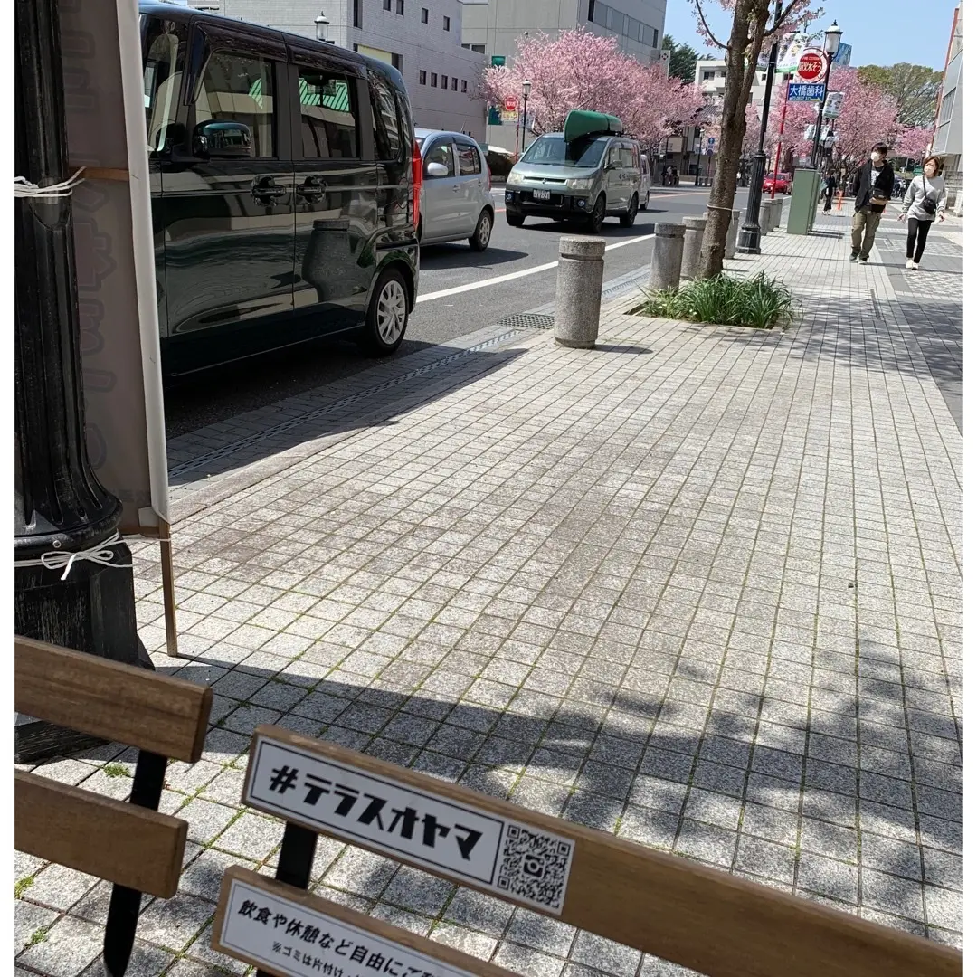 桜見ながらの朝活イベントへ。の画像_1