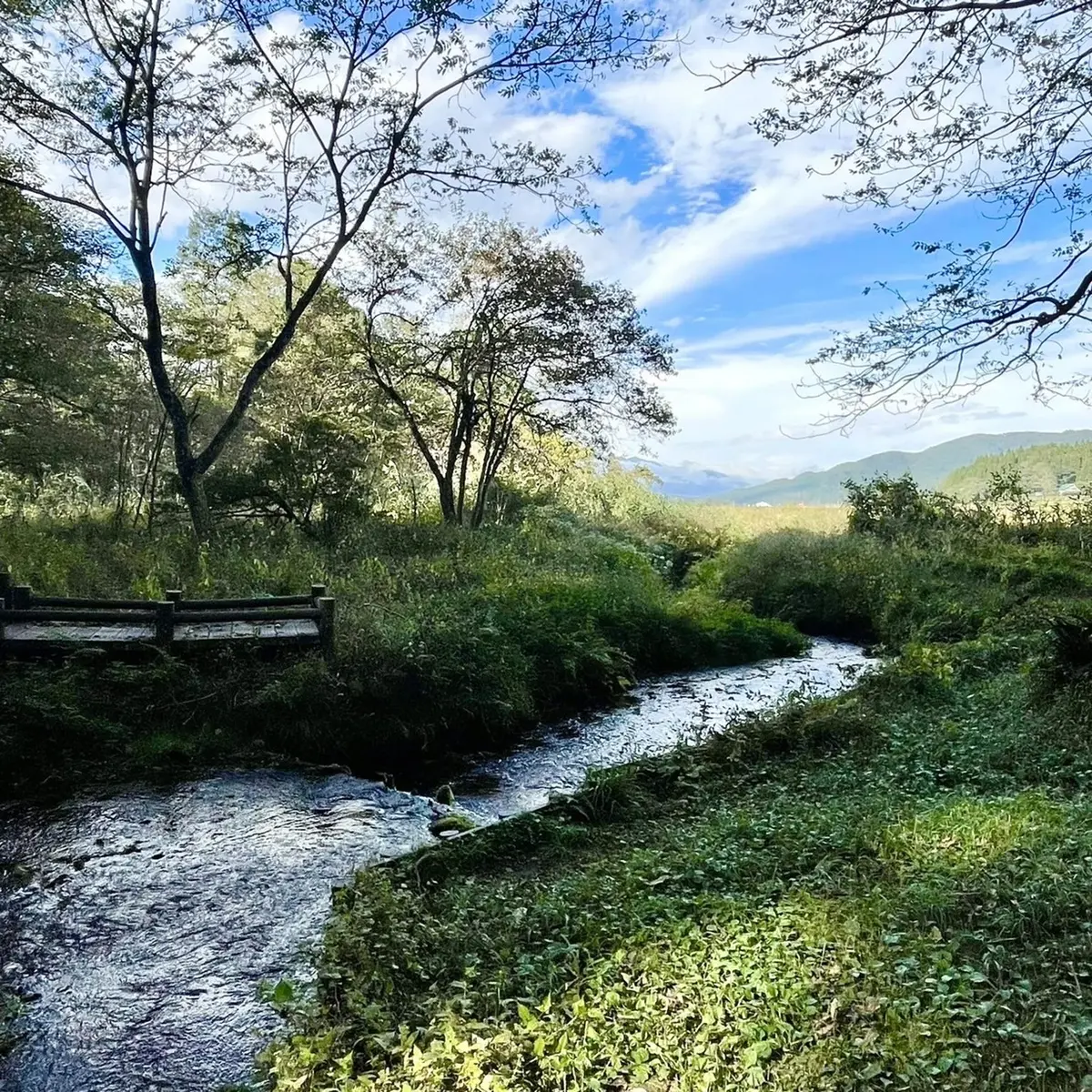 姫川源流自然探勝園の「姫川源流」