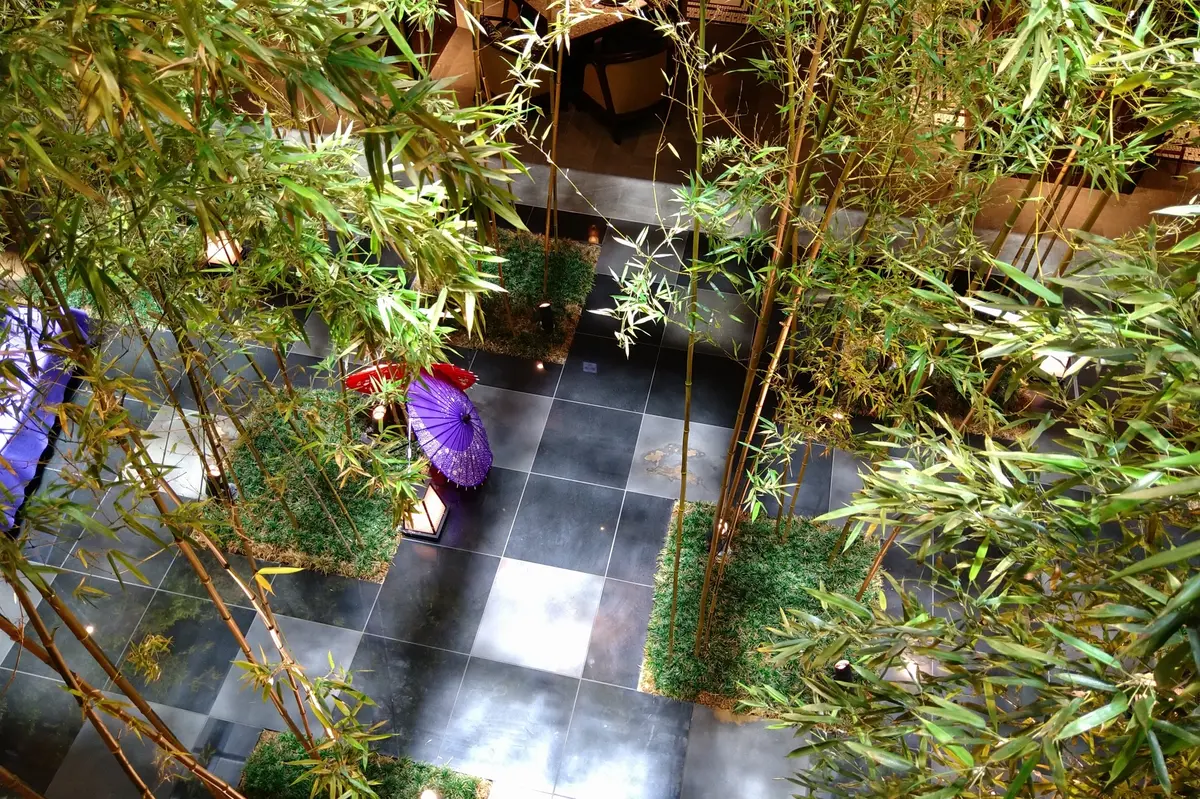 ダーワ悠洛京都