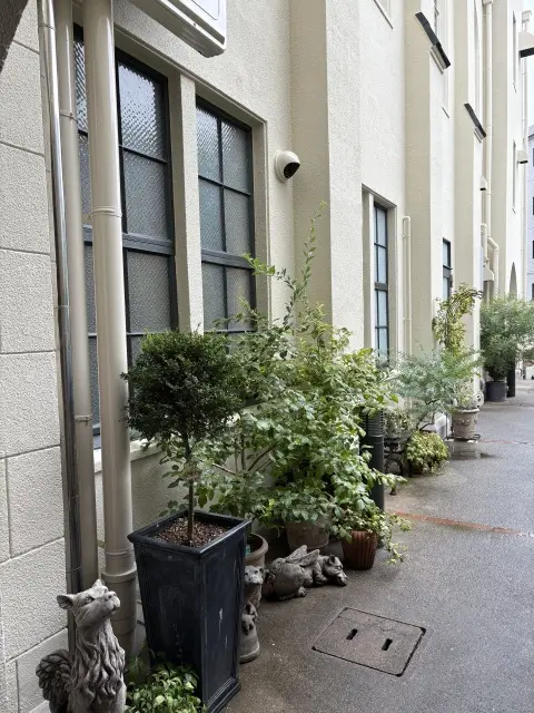 神戸・フロインドリーブで、Jマダムの友との画像_15