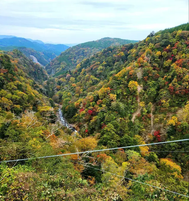 大分県九重町(ここのえまち)にある｢九重"夢"大吊橋｣