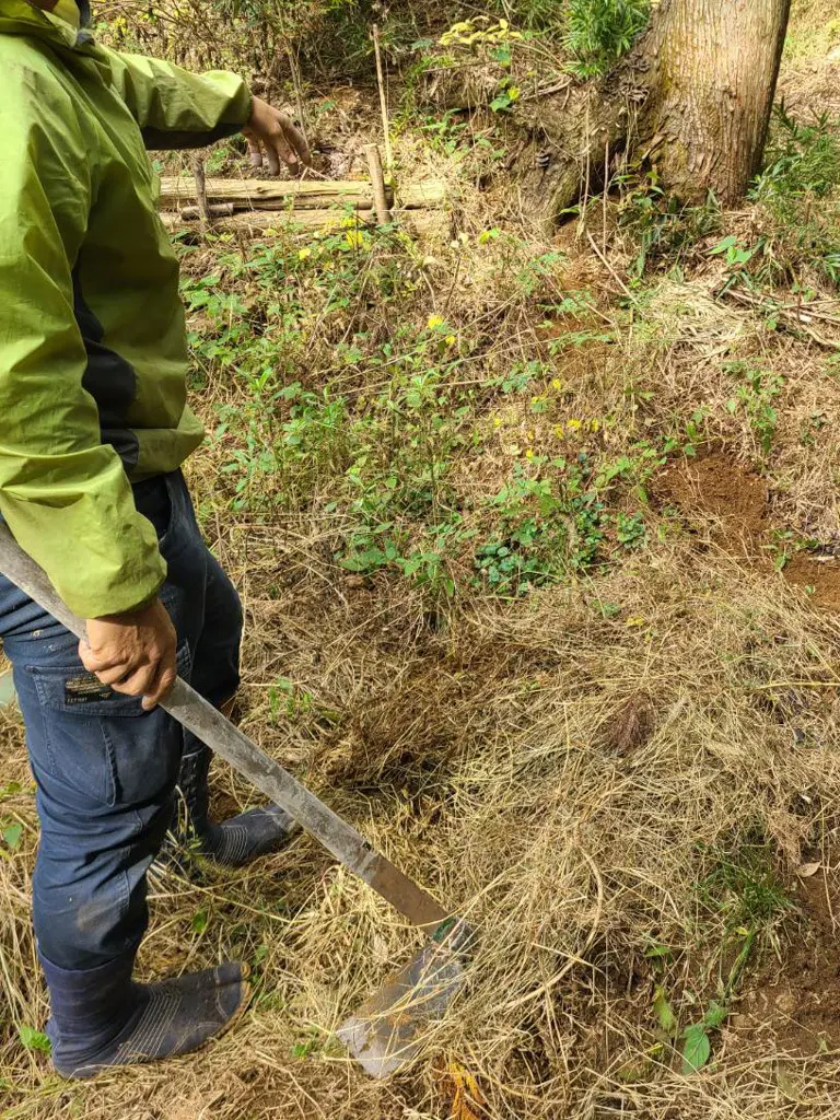 土中環境再生！の画像_1