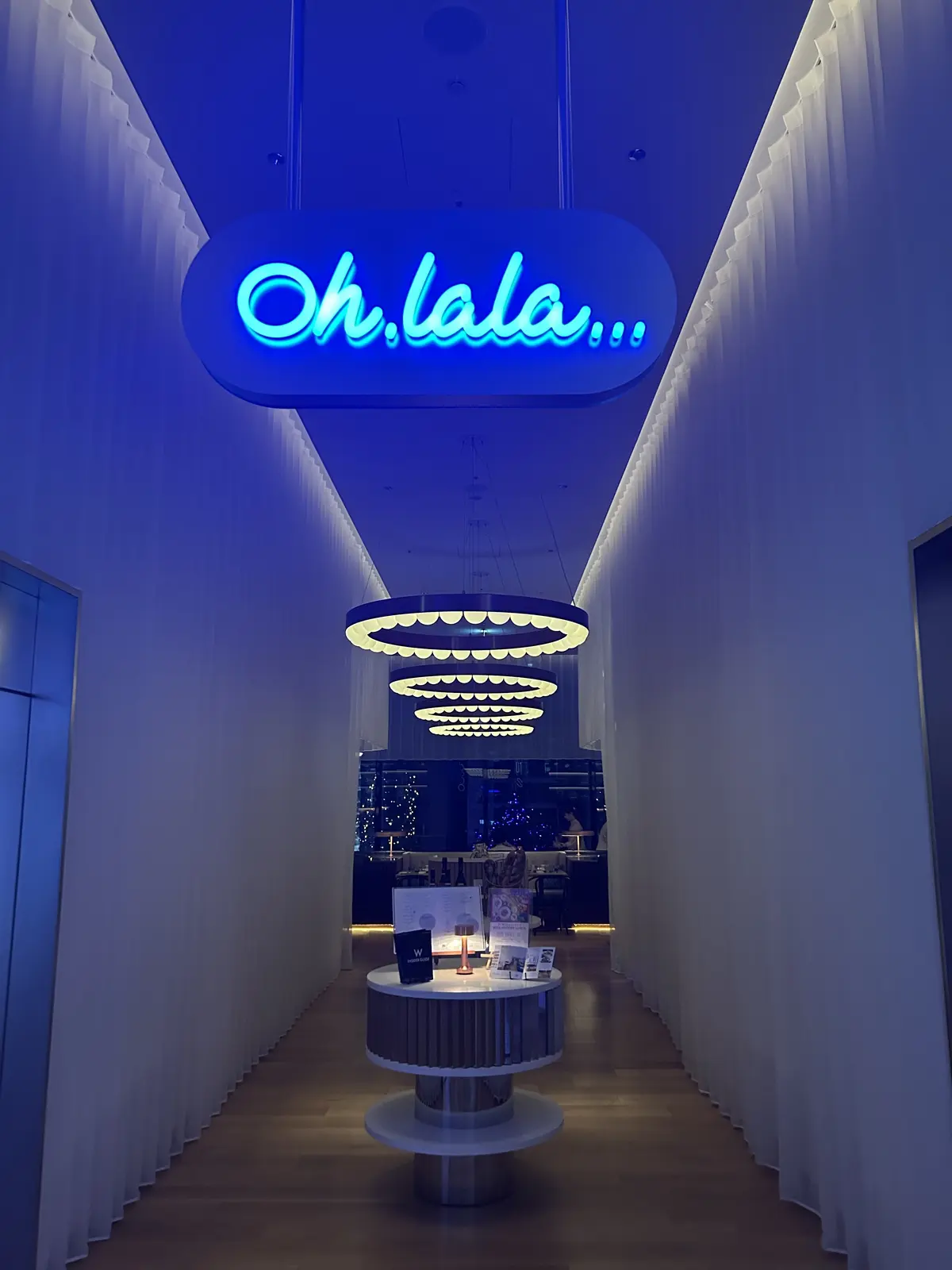 イルミネーションが煌びやかな御堂筋✨「Wの画像_9