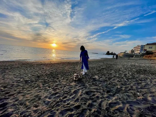 湘南　海　砂浜　ワンコとお散歩
