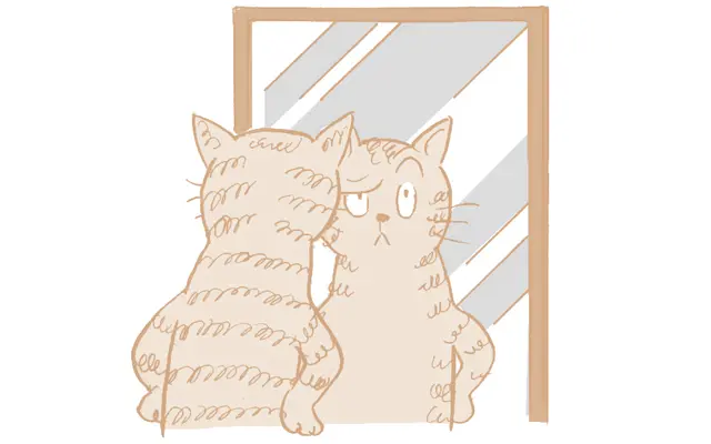 自律神経を整える方法　鏡の前で目や眉を動かす