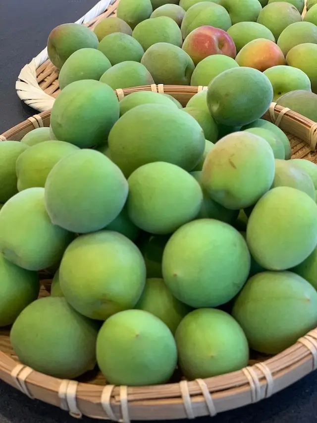 青梅　梅　梅仕事　季節の手仕事　保存食　おうち時間