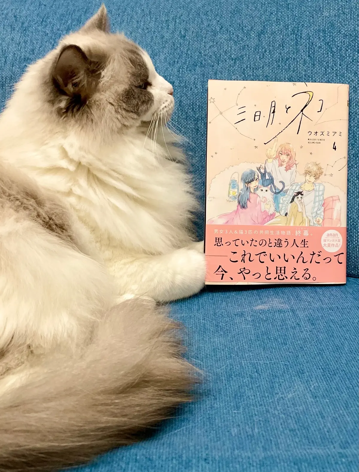 三日月と猫(漫画)と猫