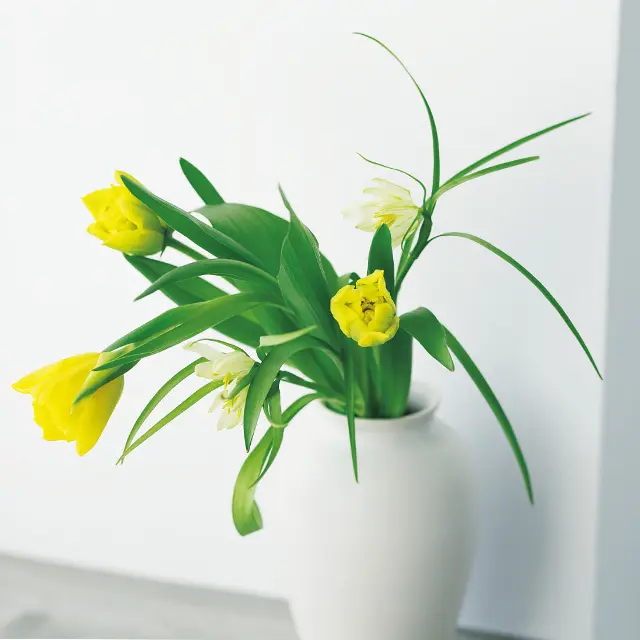 茎がしなやかなチューリップは支えとボリュ ーム出しを葉に頼り、口が広く胴がふっくら とした花器を選択。