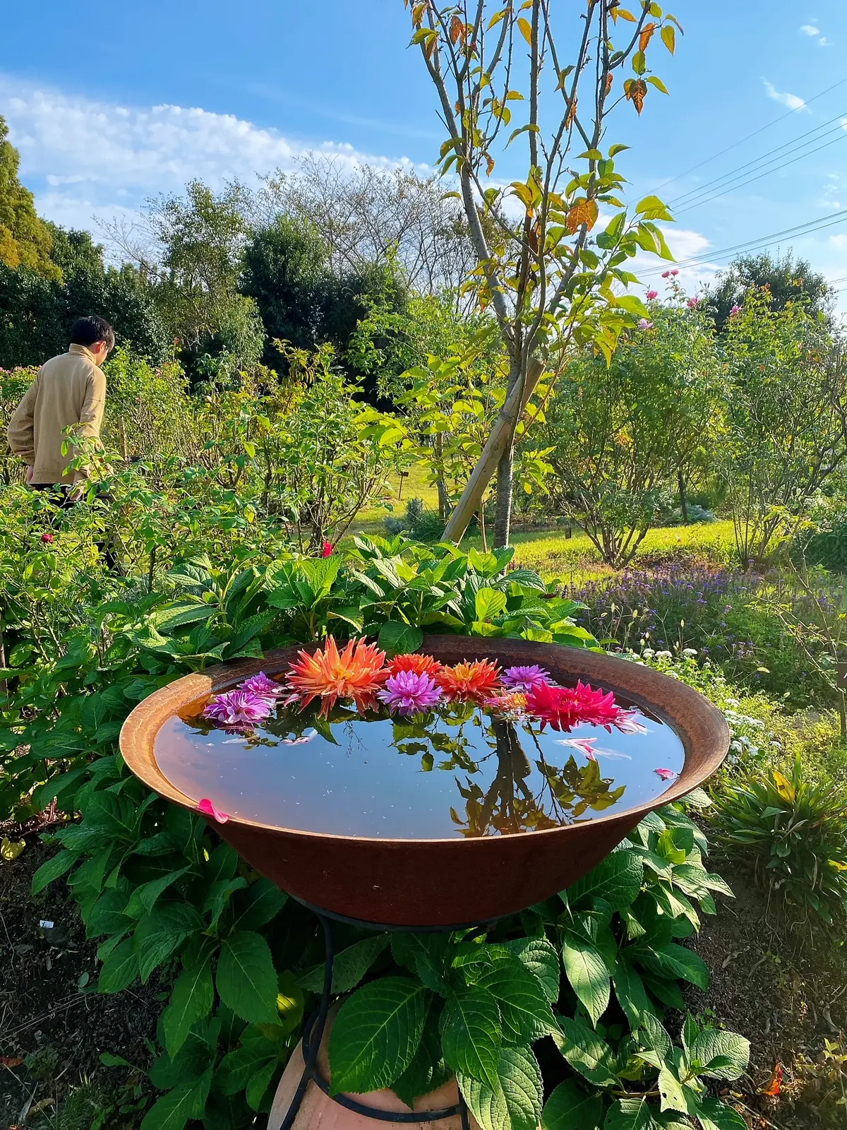 九州旅行　〜別府・美しい大神ファーム〜の画像_14