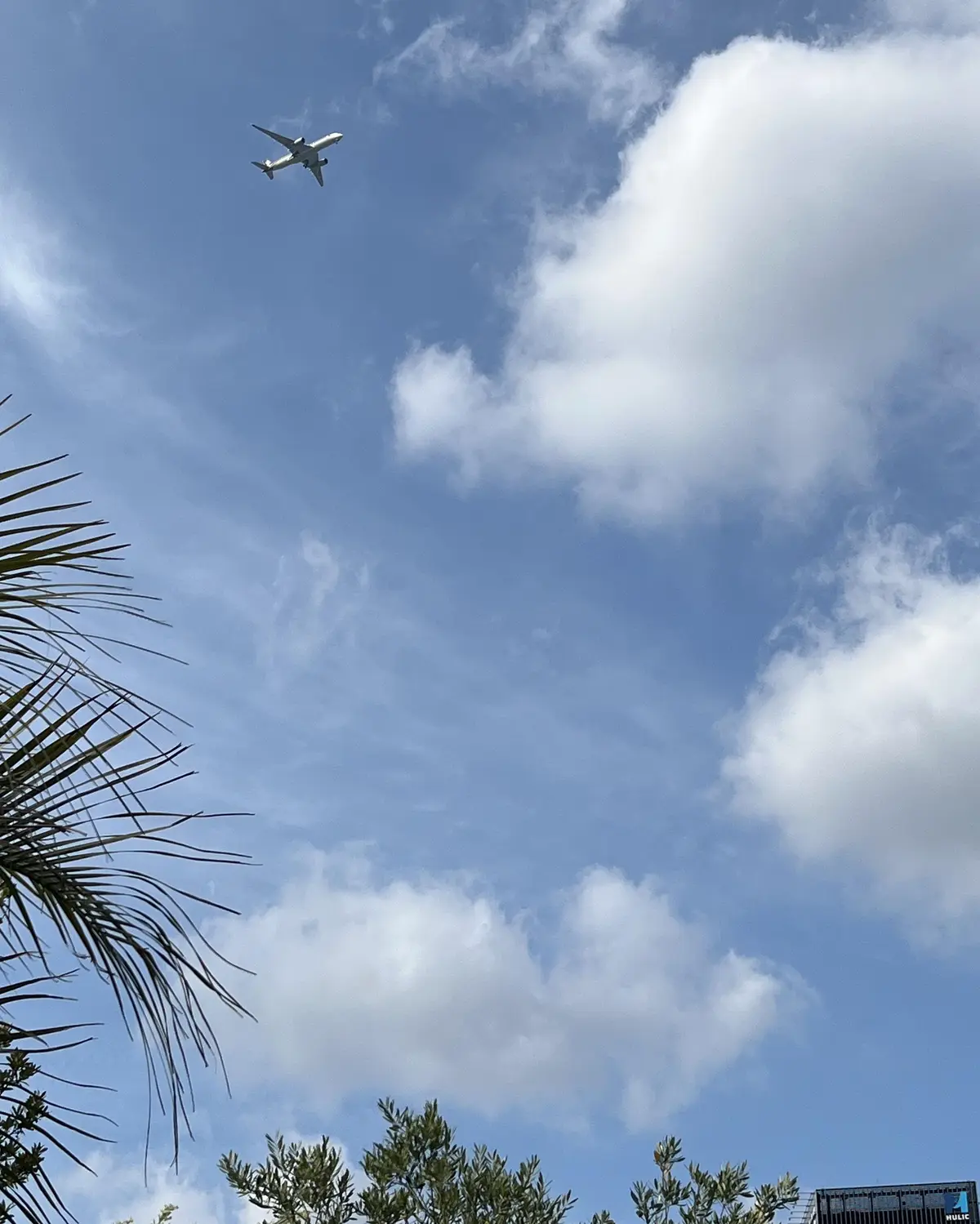 平日の原宿へ②の画像_13