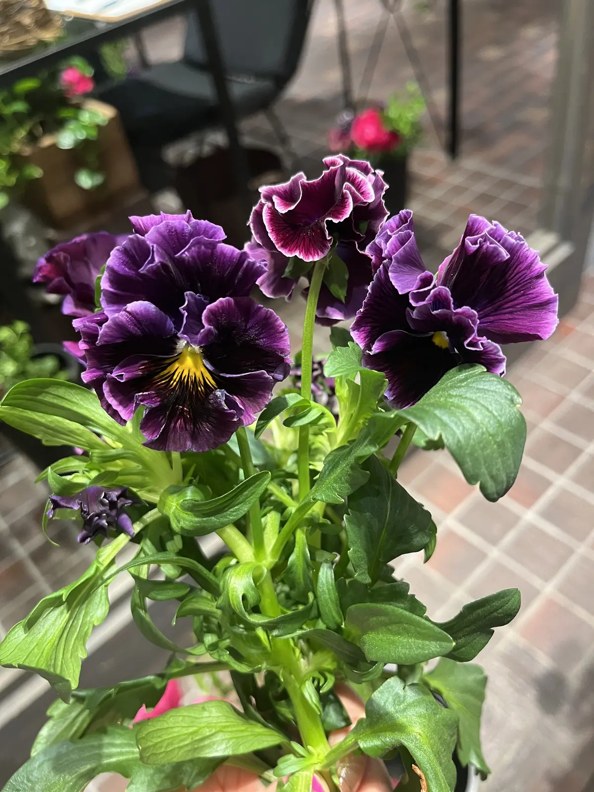 ピクニック気分でアフタヌーンティーの画像_6