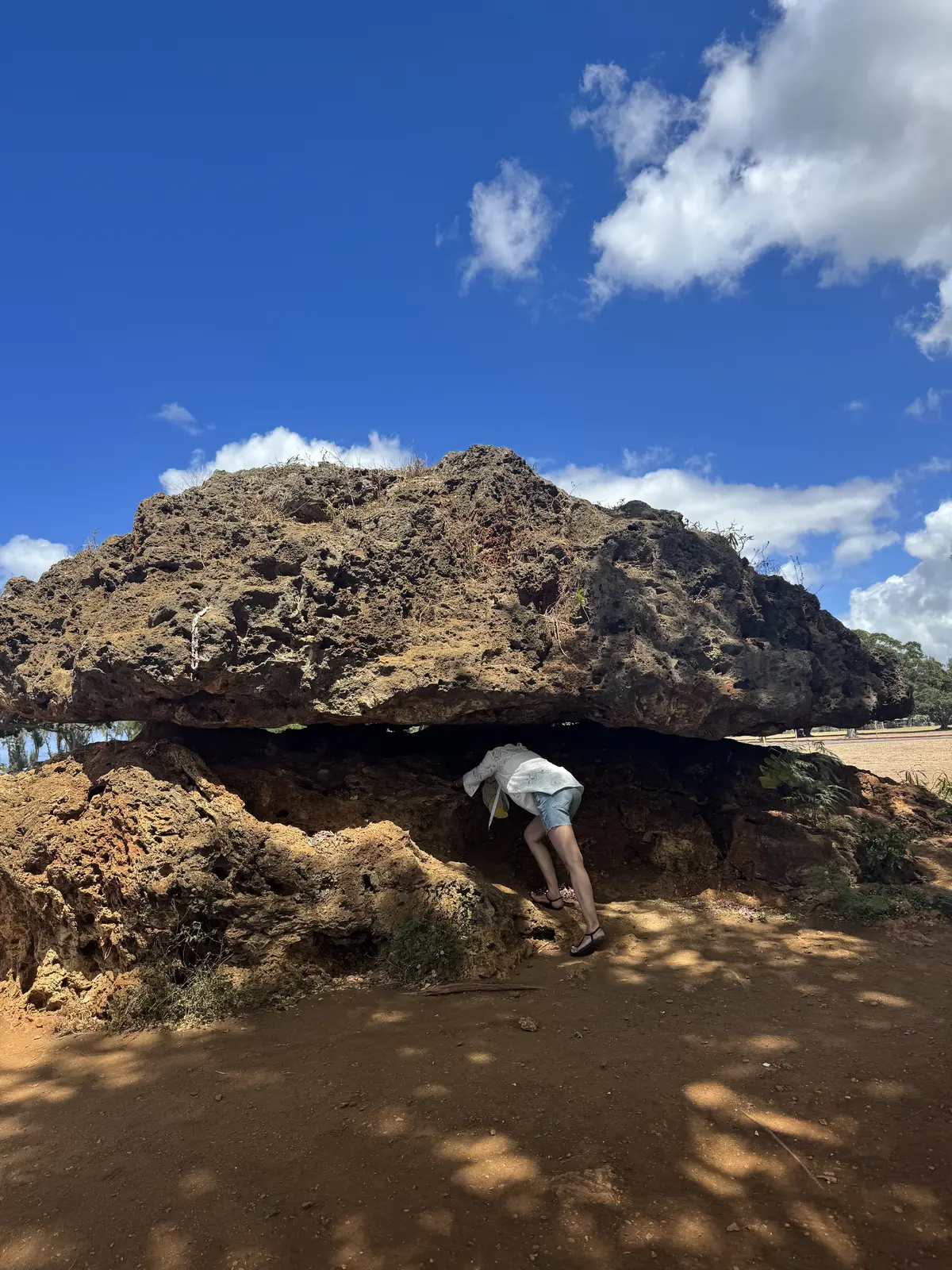 約30年ぶりの女子旅 in HAWAIIの画像_8