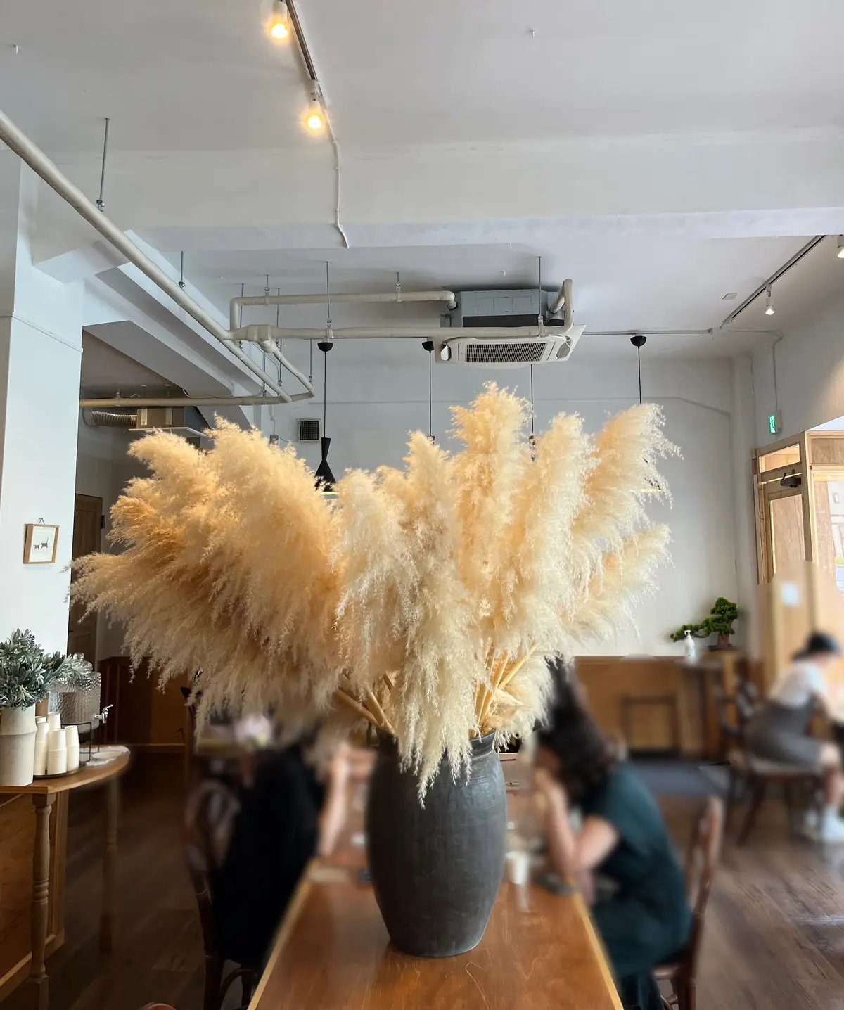 夏のジャケットstyle☆台湾飯vol.の画像_7