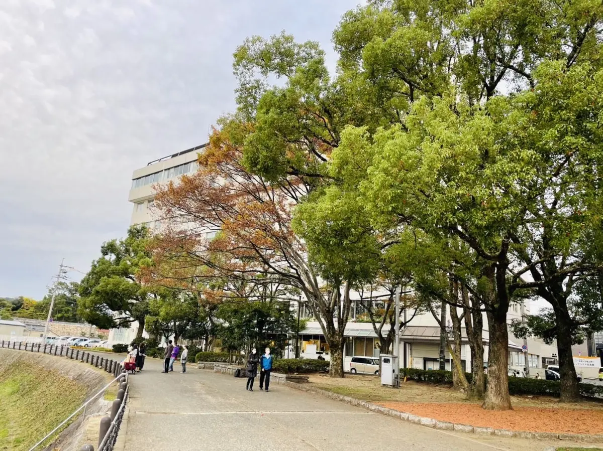 ホワイトニットコーデに挑戦！平井大さんのの画像_5