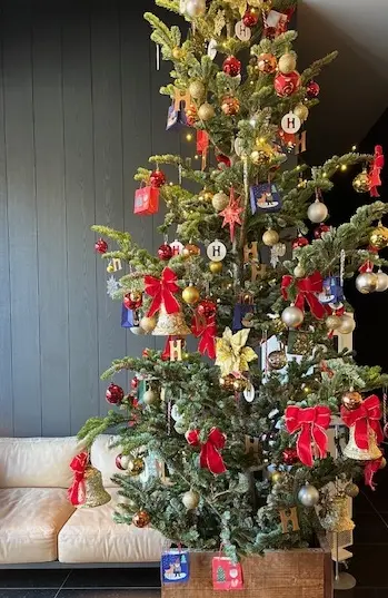 今年のクリスマスの画像_2