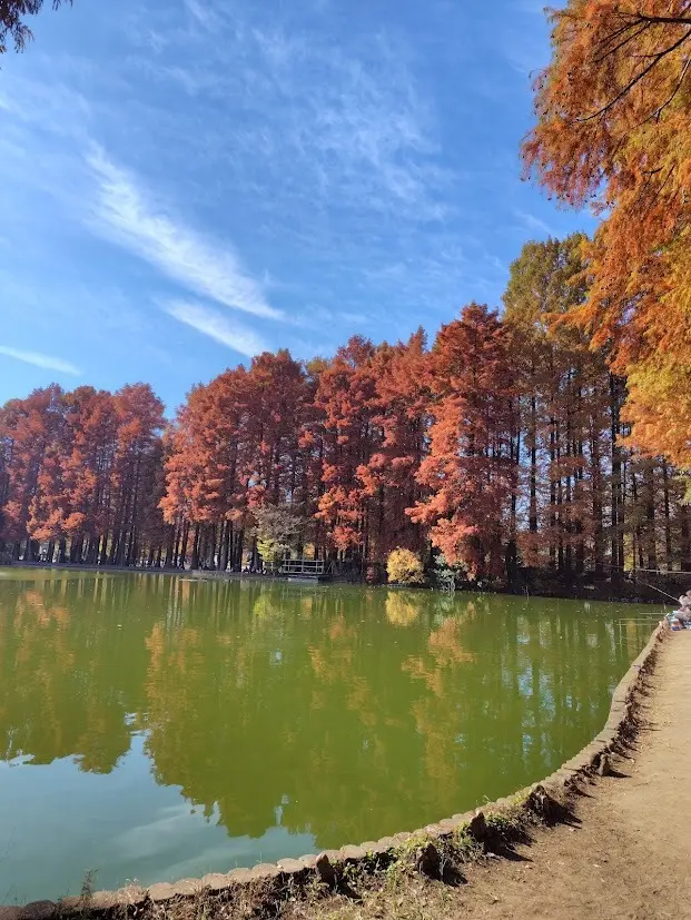 【H&M】大人可愛いレオパードアウターでの画像_2