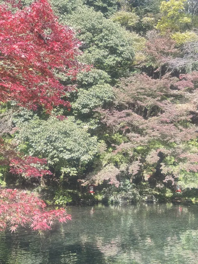 富士山本宮浅間大社 × ユニクロのジョガの画像_6