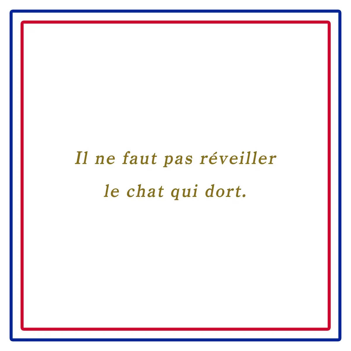 眠っている猫は起こさないようにーIl ne faut pas réveiller le chat qui dort. 
