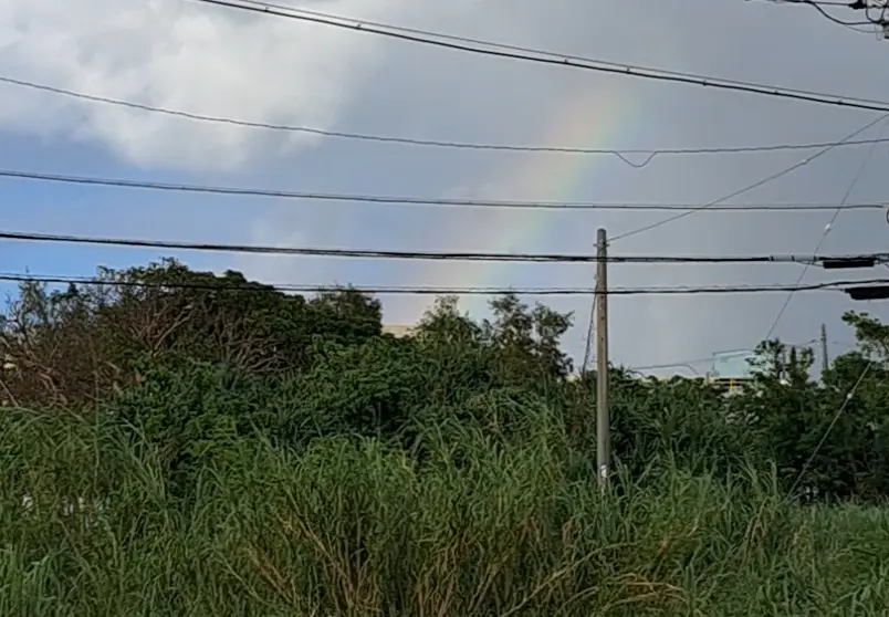 今年も私にとって最高のロケーションで過ごの画像_14