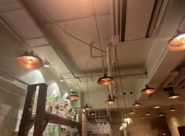 秋は、夜の散策が楽しい。の画像_4