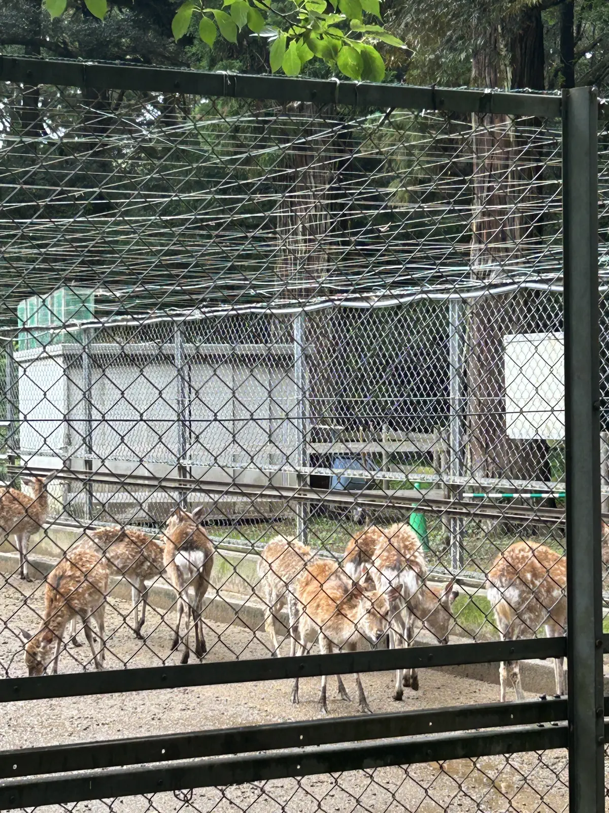 50代からの新しい旅　東京から日帰りで名の画像_14