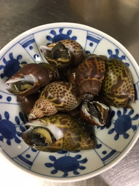 エゴバスのかごバッグの画像_3