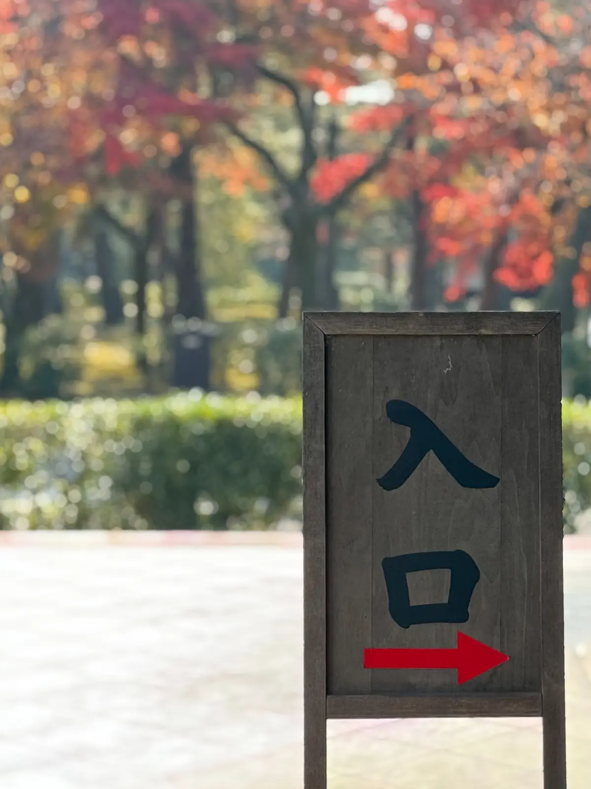 【大人の京都】寺院仏閣とお気に入りの秋のの画像_30