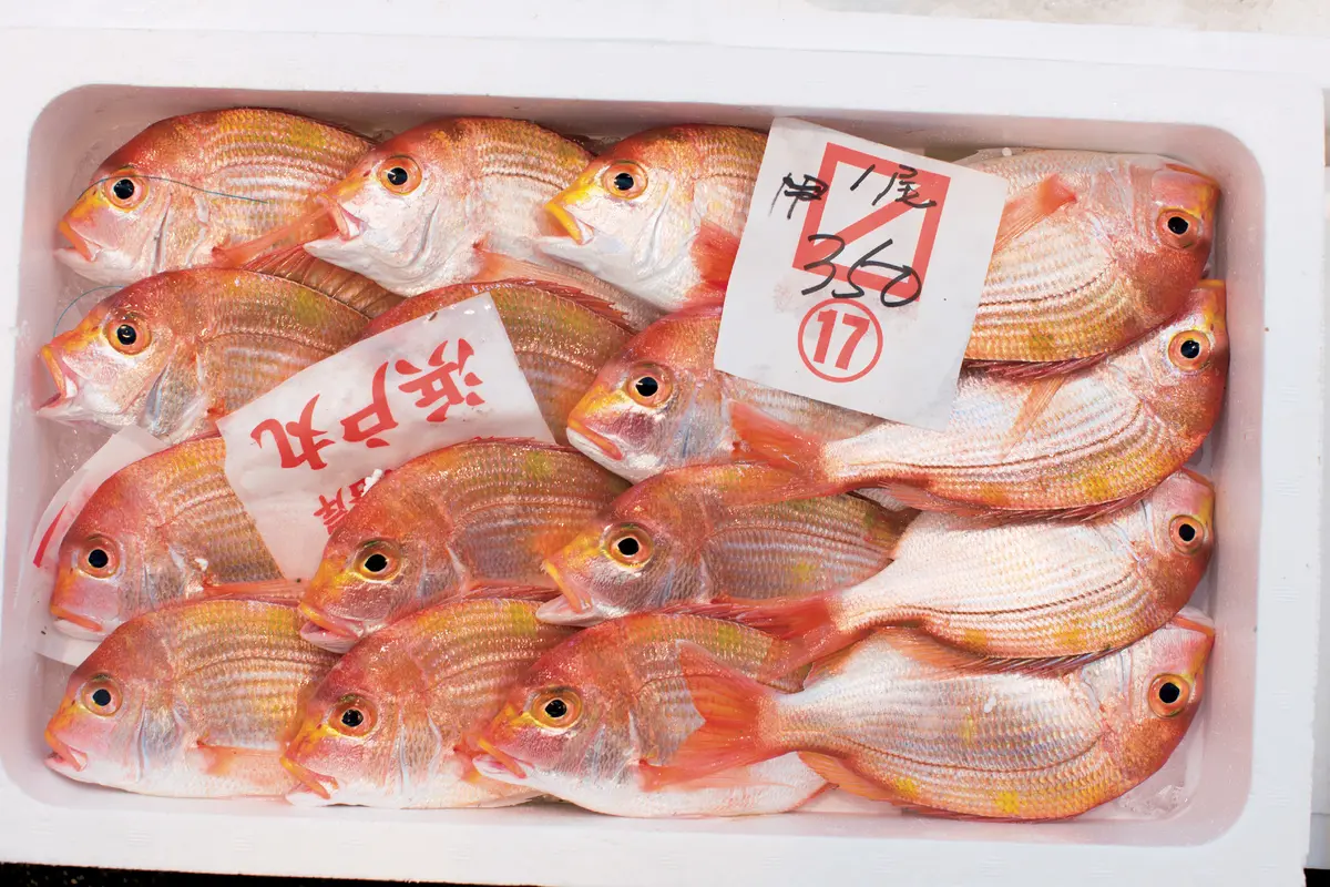 ここにしかない逸品に出会える、福井若狭のの画像_4