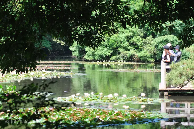 【さかぽんの冒険】まさか☆モネの絵画のよの画像_4