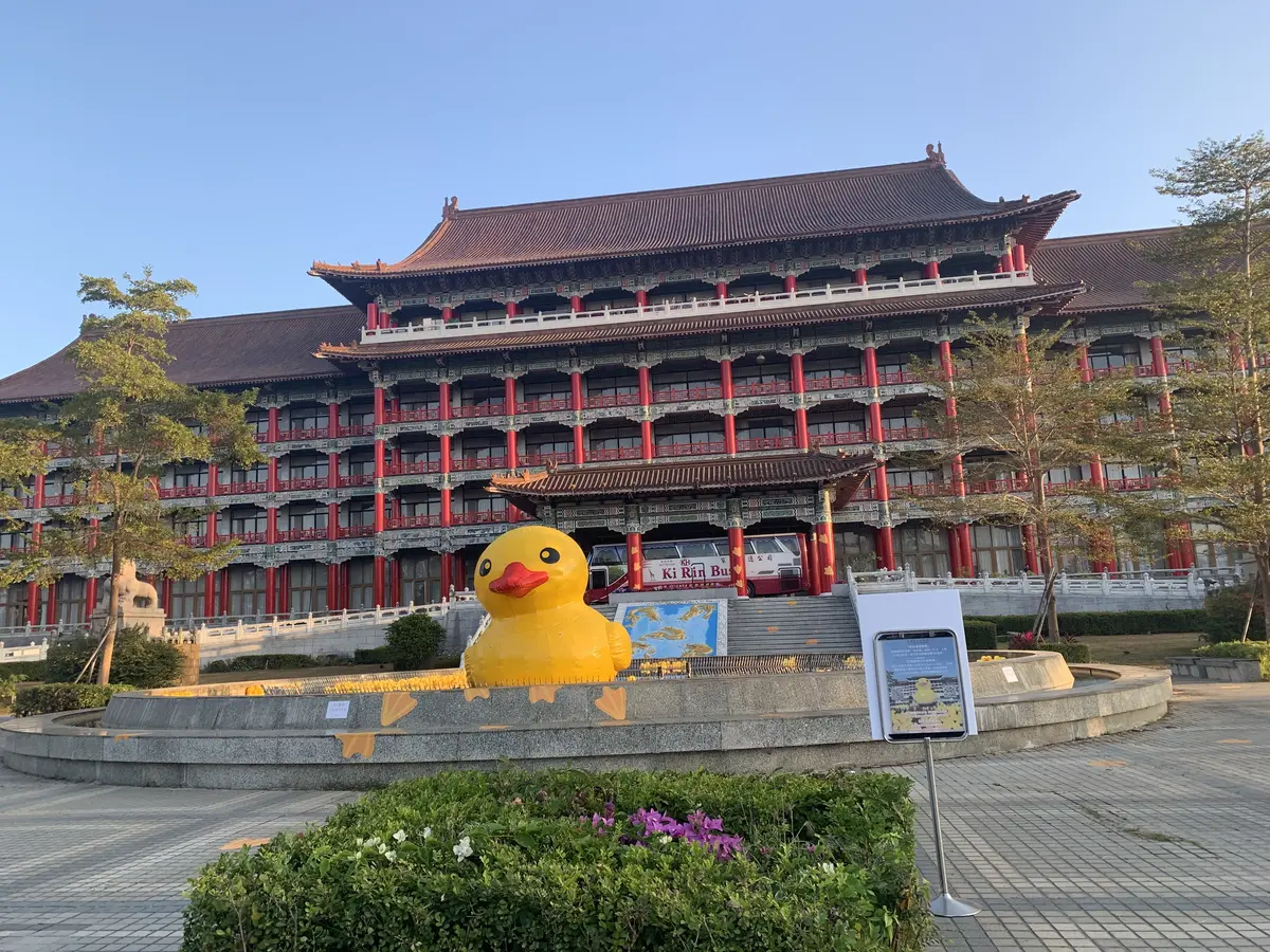 圓山大飯店の池に浮かぶアヒル