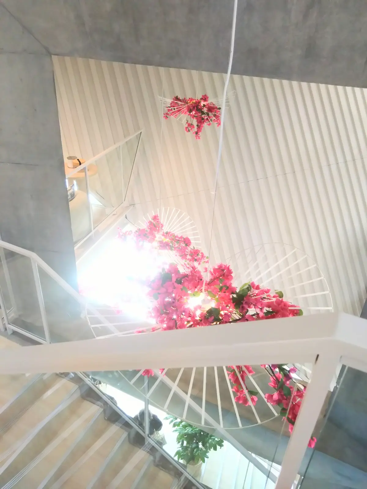 DIORのポップアップイベント、LE JARDIN DIORIVIERA、ディオール