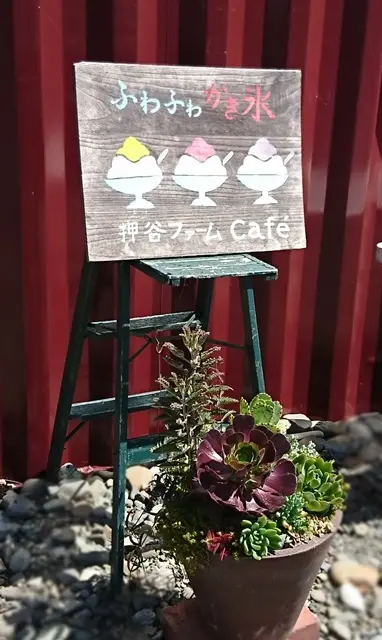 押谷ファームふわふわかき氷を食べに行きました