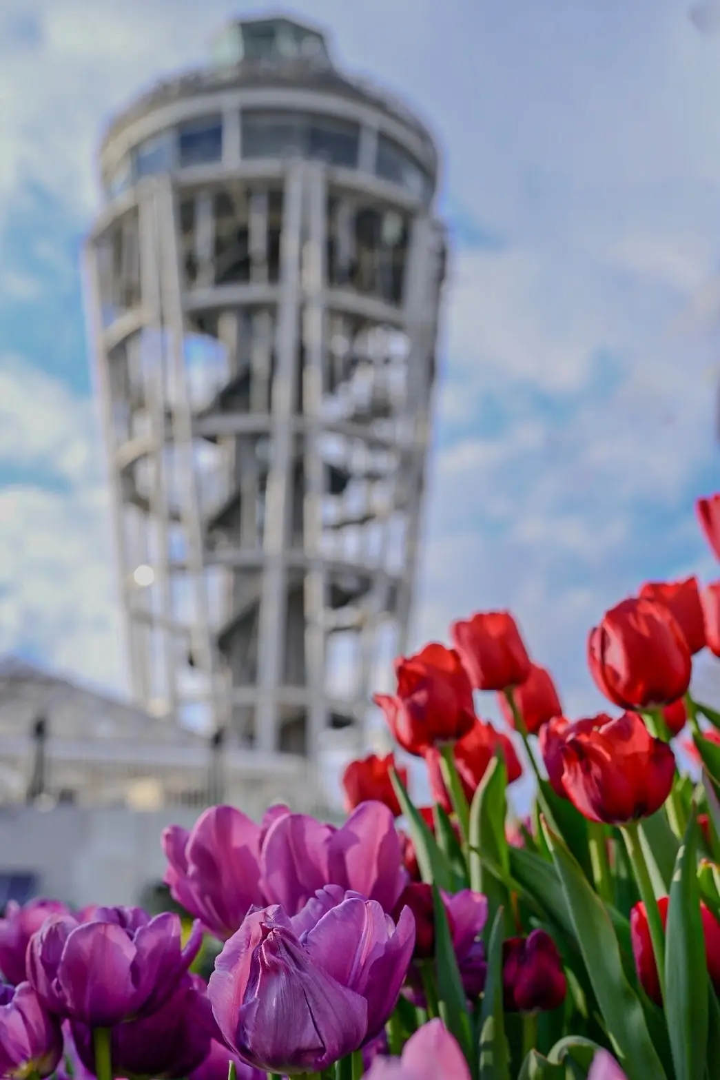 海風と、ひと休み。大人の江ノ島散歩♪の画像_4