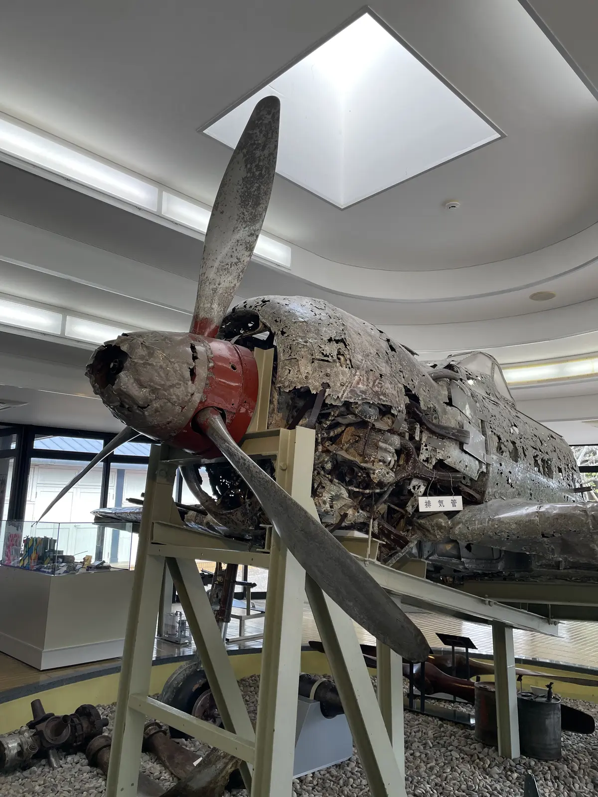 弾丸１泊、新幹線さくらで行く、鹿児島旅編の画像_33