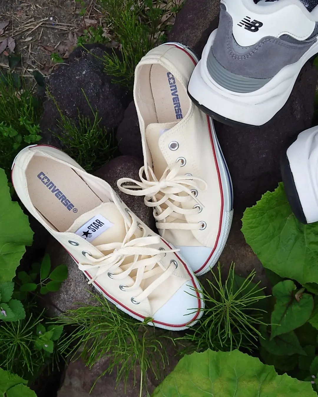 コンバースローカット生成り色